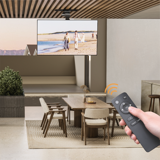 VSYS VCM-M0748DS mount installed on ceiling with remote control