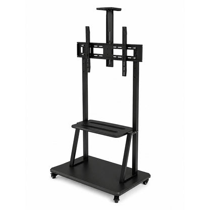 DG-110B-FS mobile TV stand, angled view