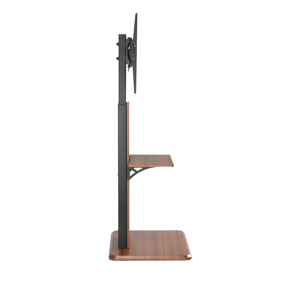 SH-20FS modern slim TV floor stand, side profile view