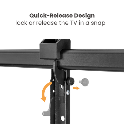 VSYS VS02D-696 mount quick-release latch feature