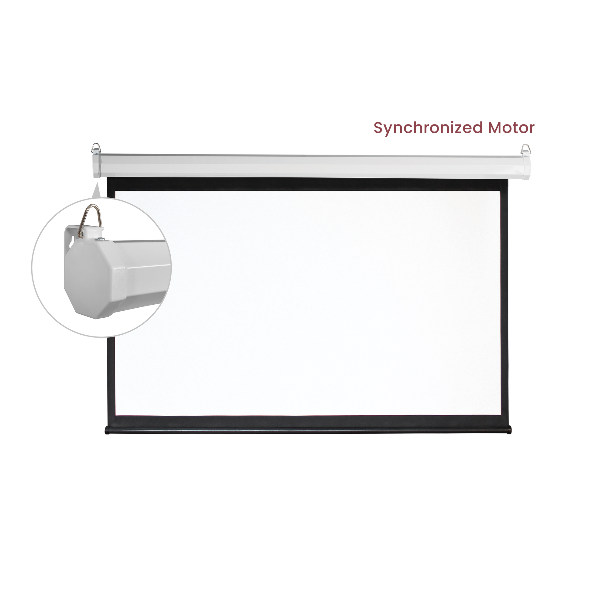 VSYS VSPS100-M motorized projection screen synchronized motor feature