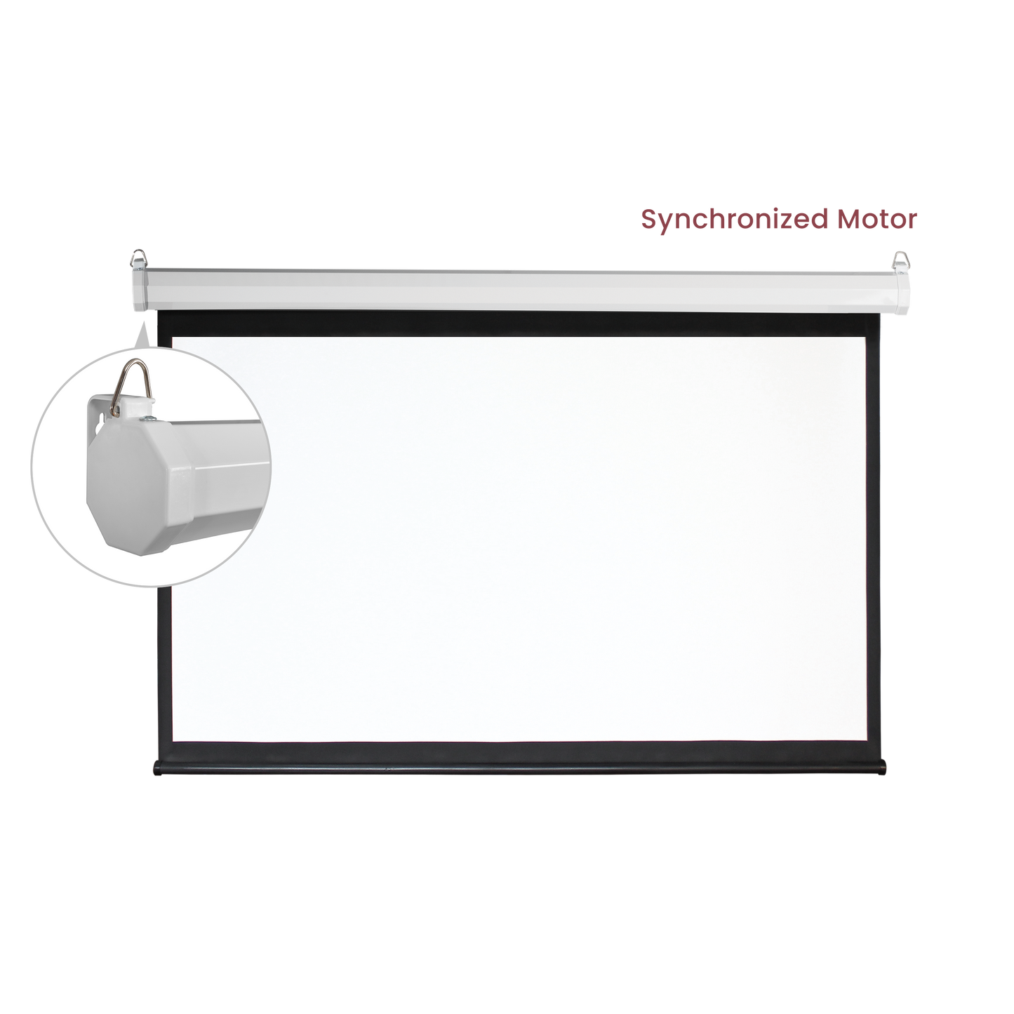 VSYS VSPS135-M motorized projection screen synchronized motor feature