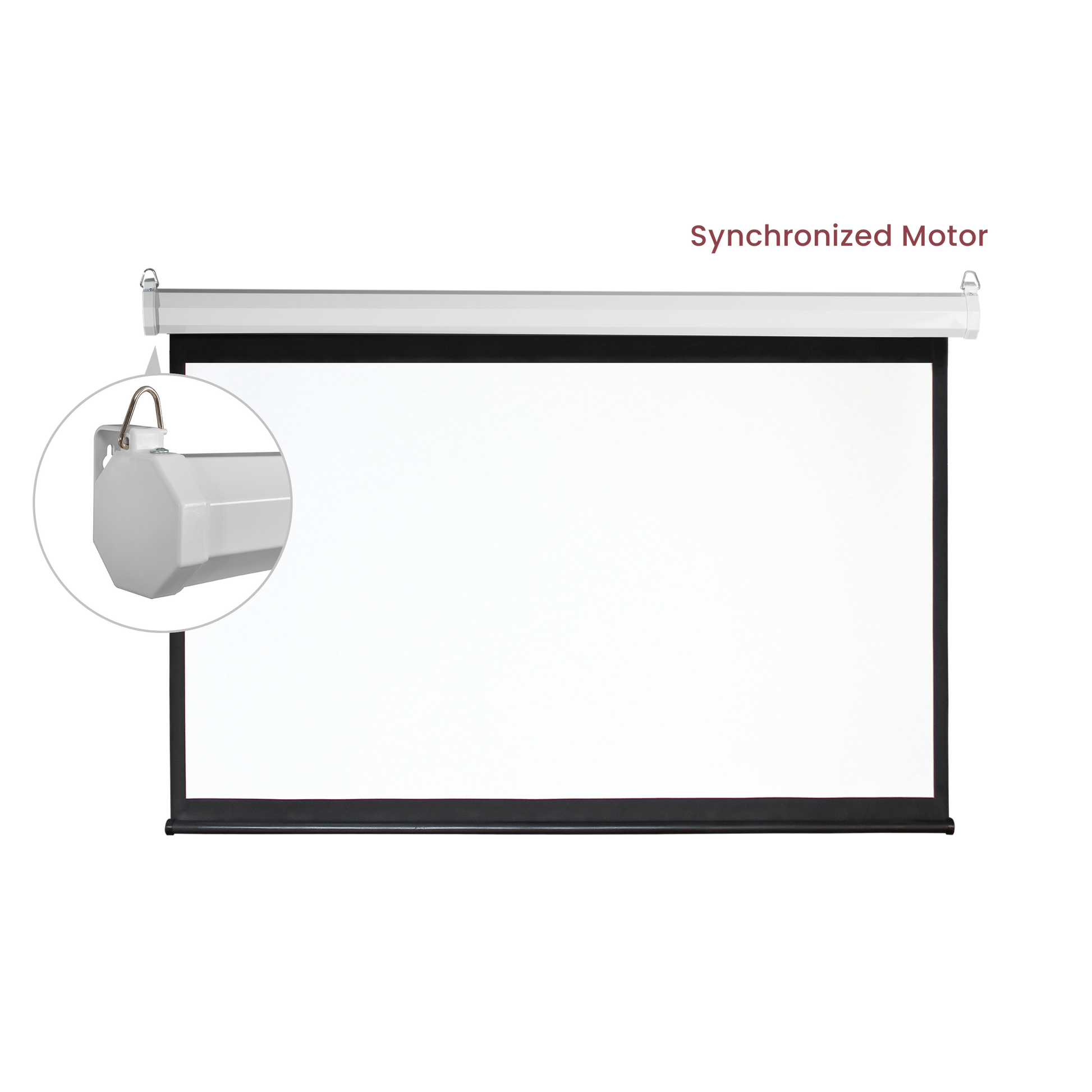 VSYS VSPS135-M motorized projection screen synchronized motor feature